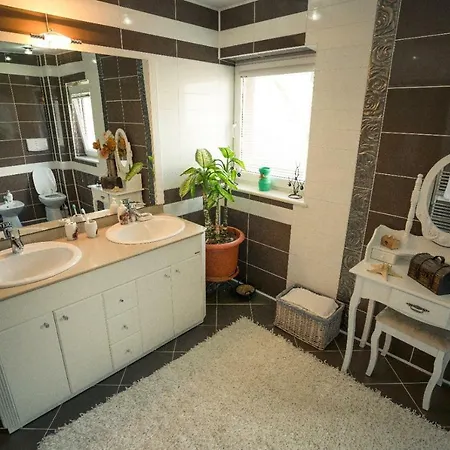 Casa Mona Homestay Borsa (Maramures)