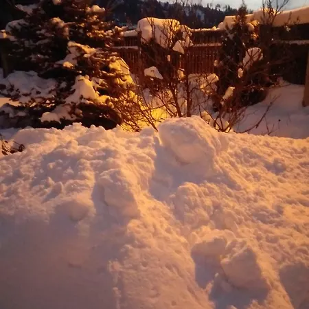 Casa Mona Homestay Borsa (Maramures)