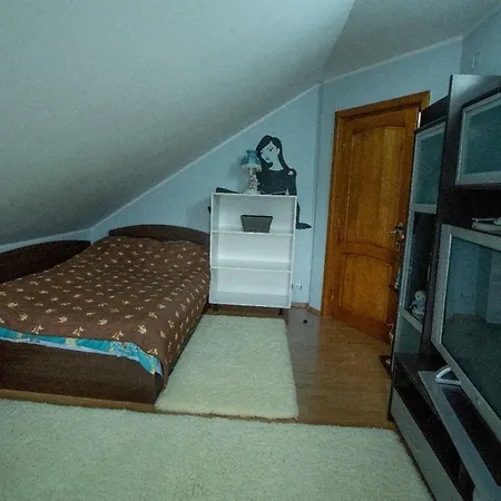 Homestay Casa Mona Borsa (Maramures)